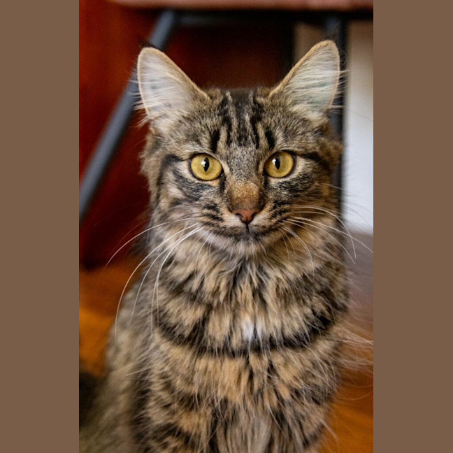 Photo of Arya