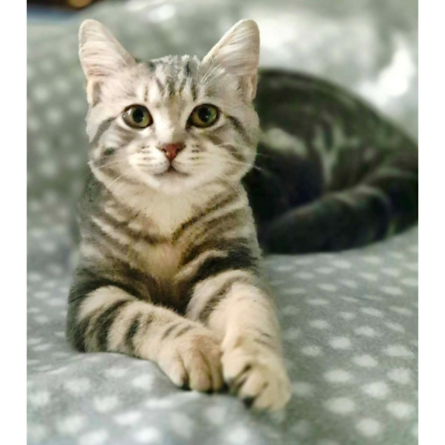 Photo of 14139   Tsuki