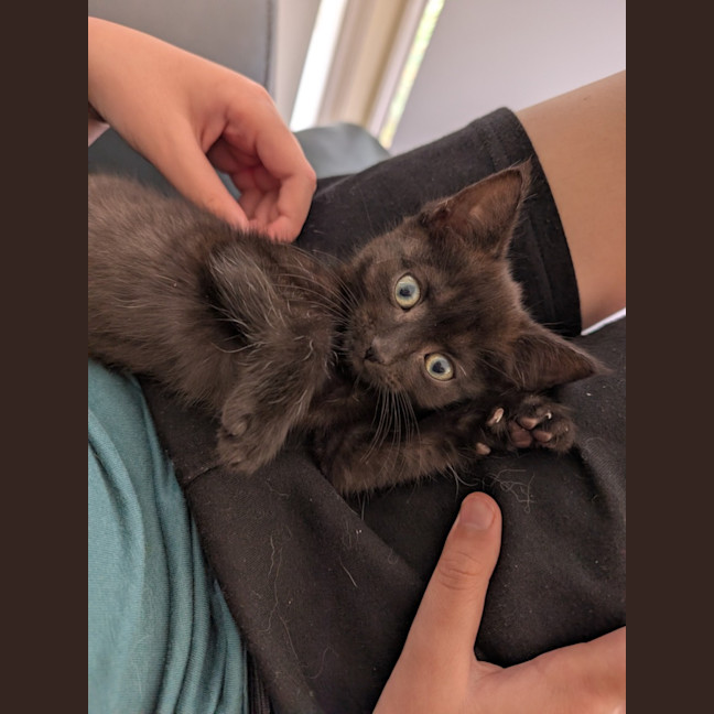 Photo of Zoe