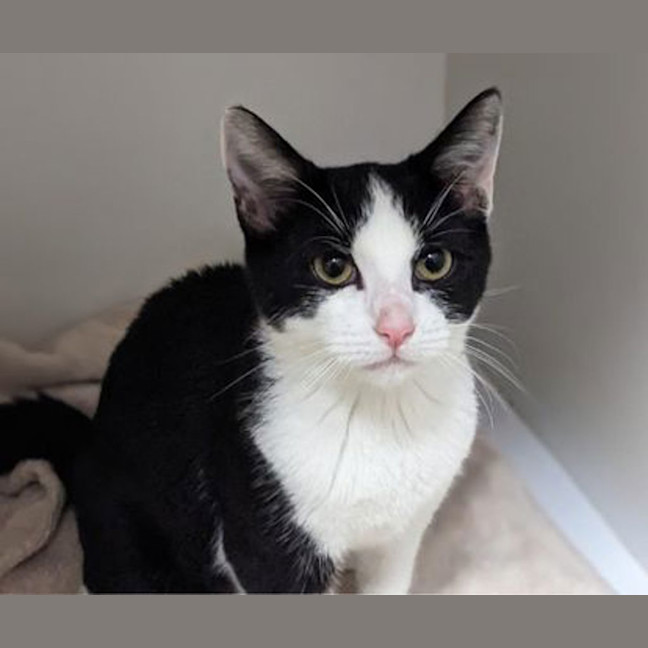 Photo of Spring Bean