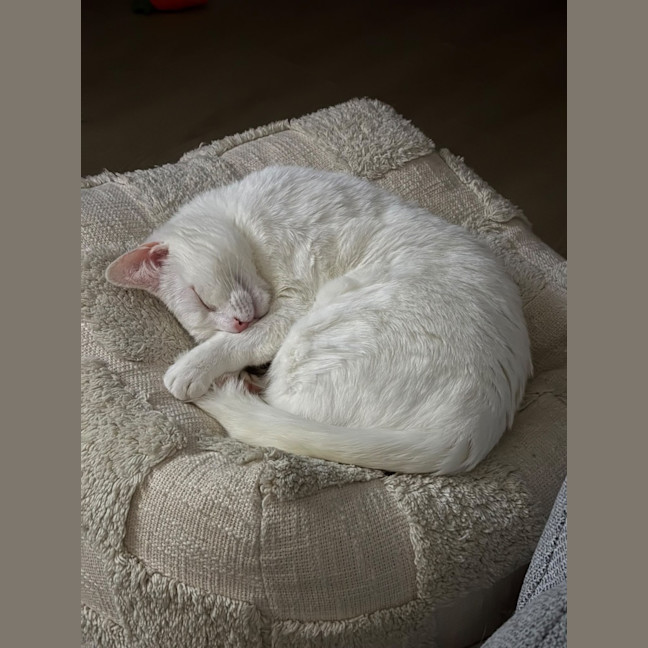 Photo of Yuki