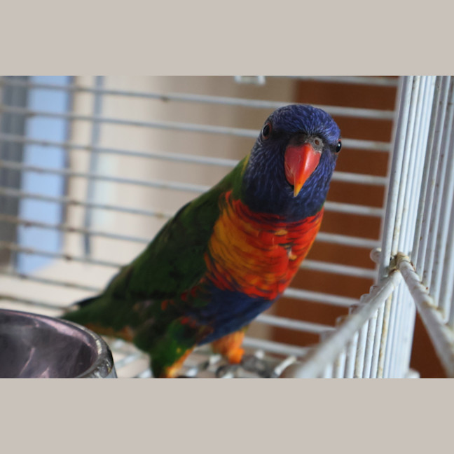 Photo of Sprout