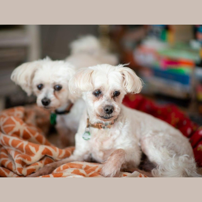 Photo of Wally And Ollie Peggotty