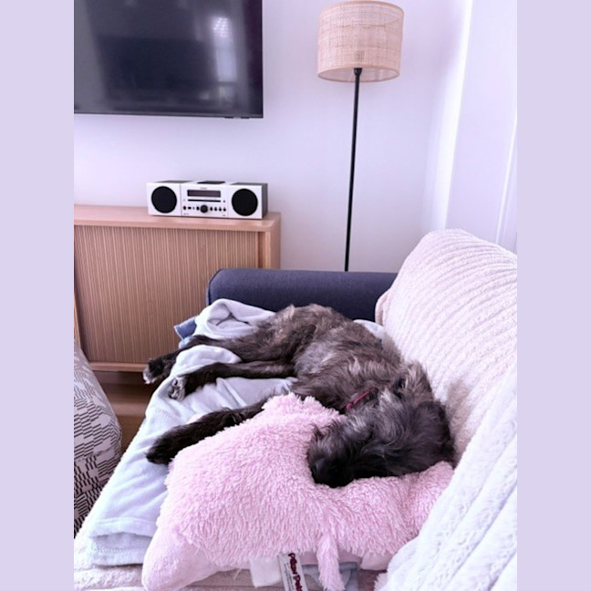 Photo of Tallulah (Loola)