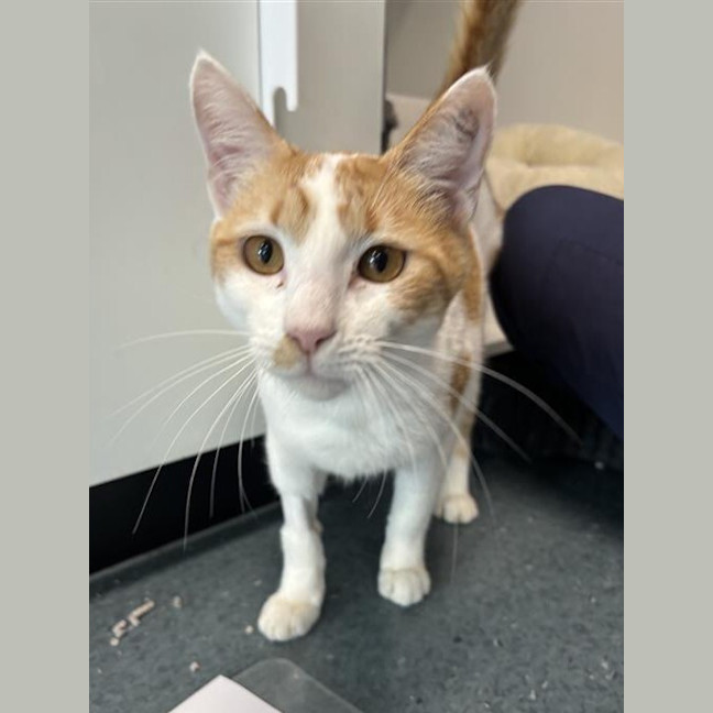 Photo of Fancy Pants