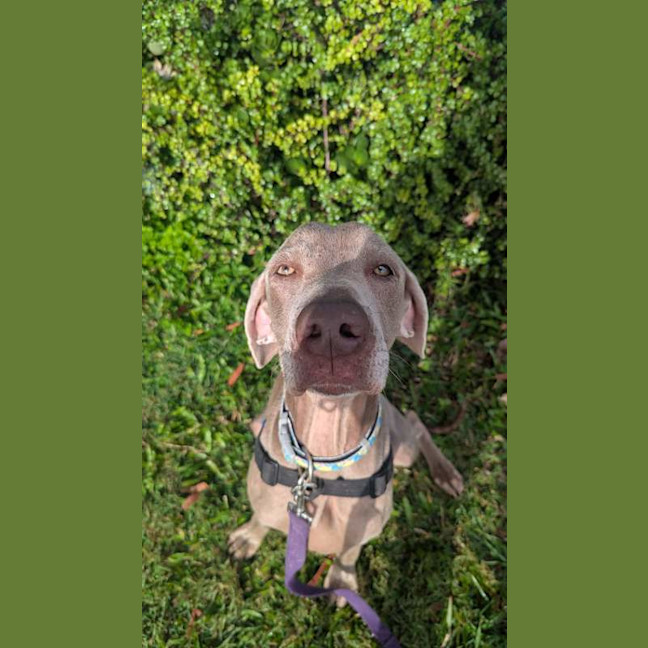 Photo of Ellie