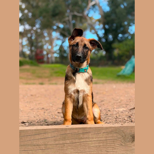 Photo of Hattie