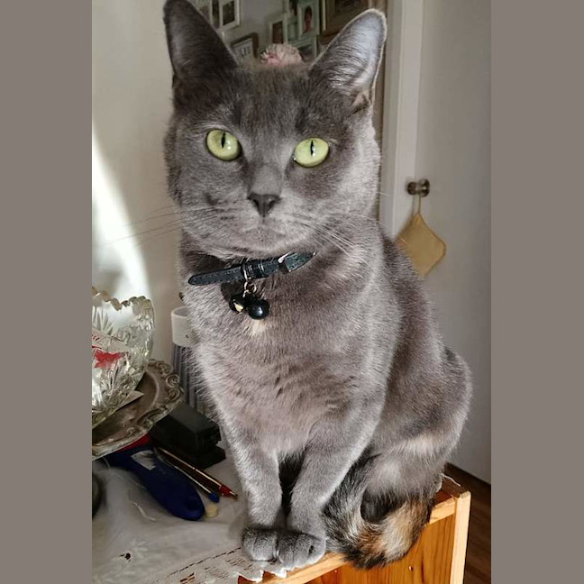 Photo of Pearl