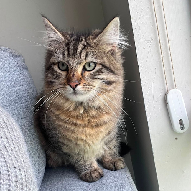 Photo of Leo