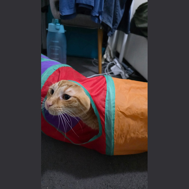 Photo of Alistair