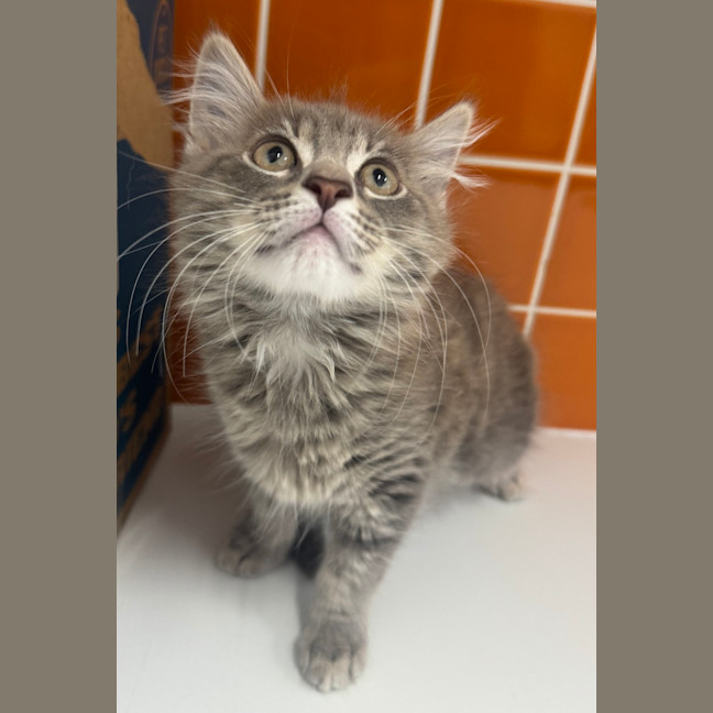 Photo of Elsa