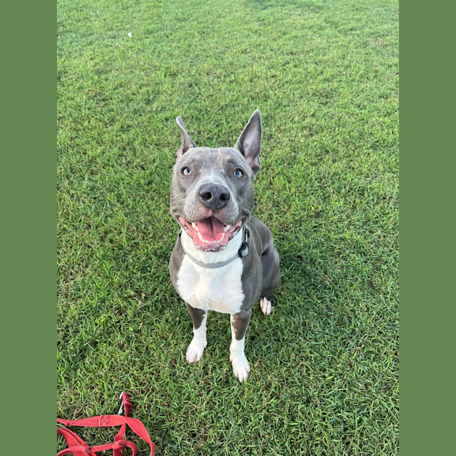 Photo of Odin