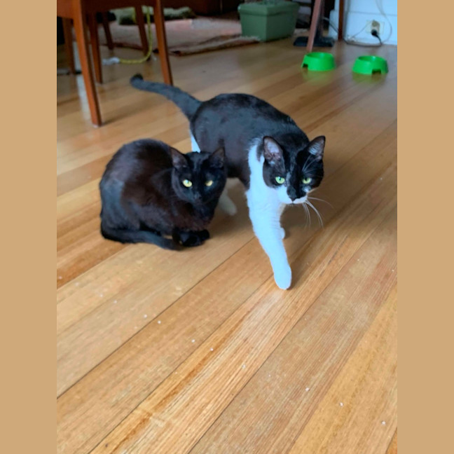 Photo of Montana & Maggie 