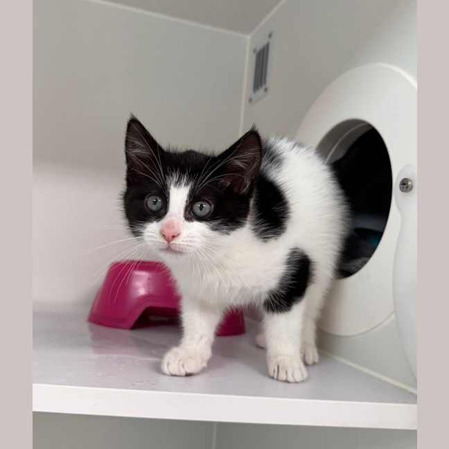 Photo of Wednesday