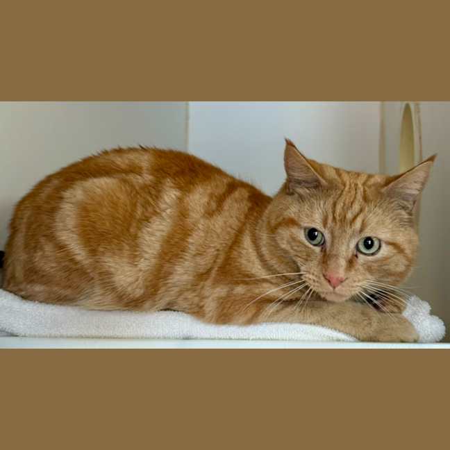 Photo of Philip J Fry 