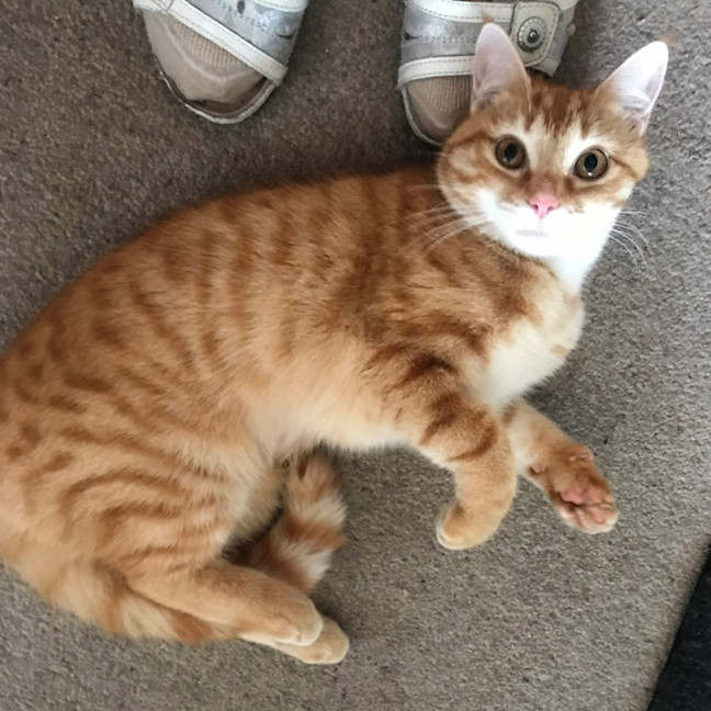 Photo of Kanga Suk012778