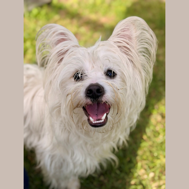 Photo of Reggie