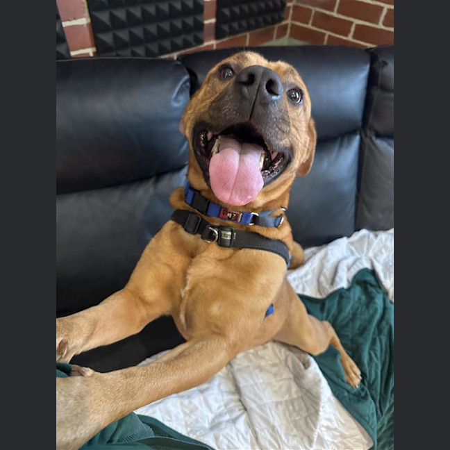 Photo of Smiley