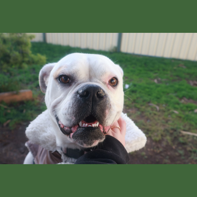 Photo of Lucy