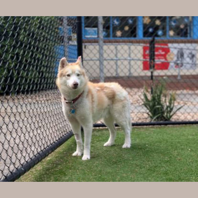 Photo of Suko