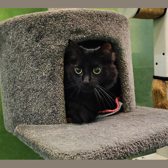 Photo of Zachary Binks