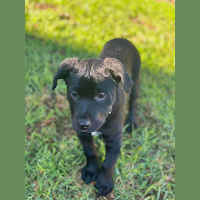 Photo of Silver