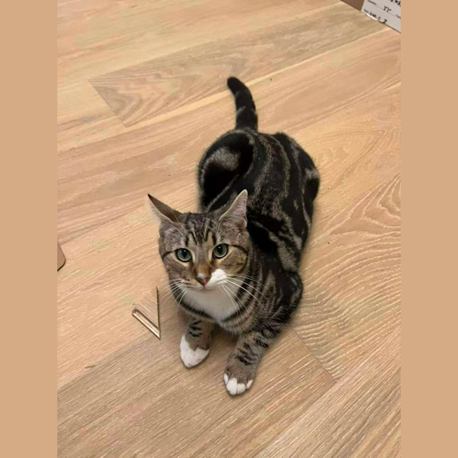 Photo of Little One