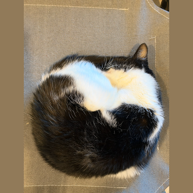 Photo of Shiyi