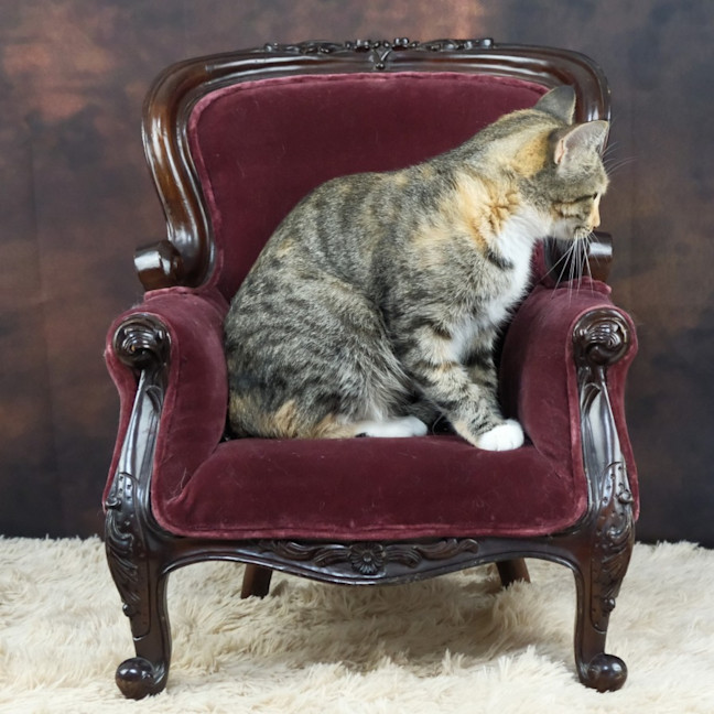 Photo of Catherine