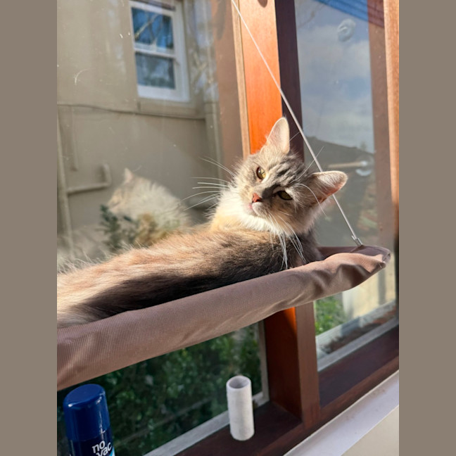 Photo of Lucy