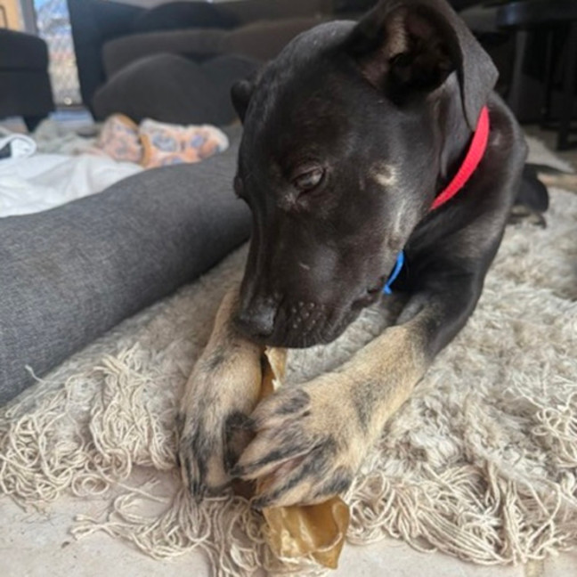Photo of Zeus