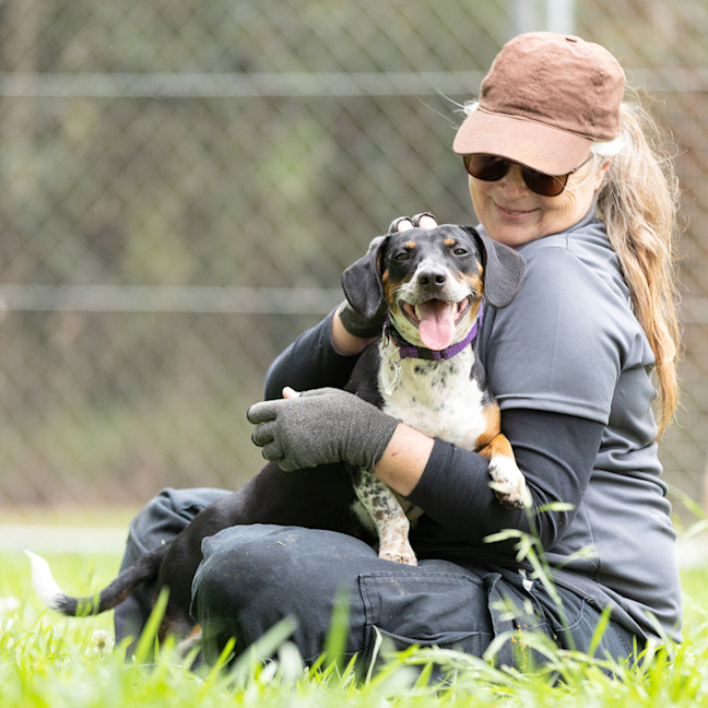 Photo of Tuppence