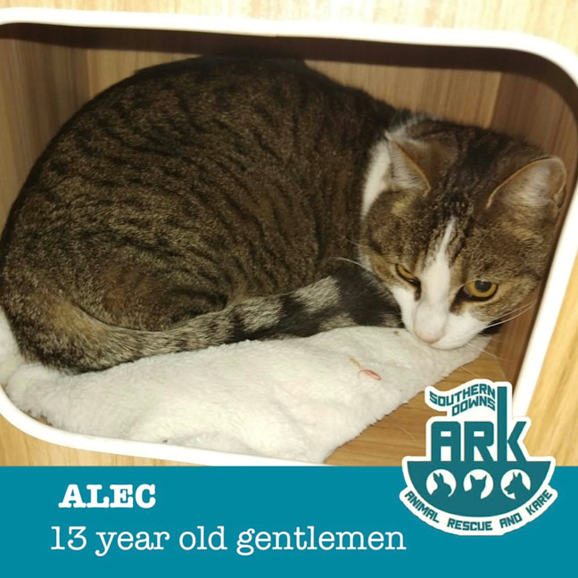 Photo of Alec