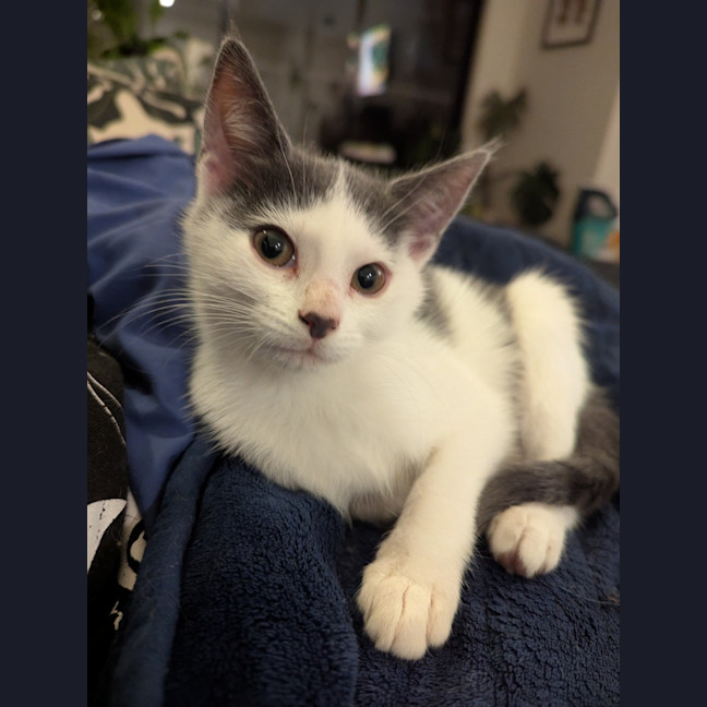 Photo of Minnie Baby