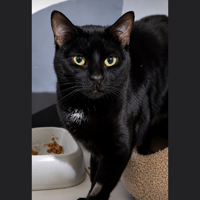 Photo of Disco