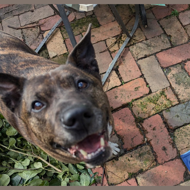 Photo of Lindy Lou