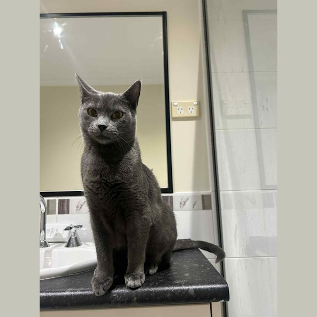 Photo of Forky   Located In Ashburton