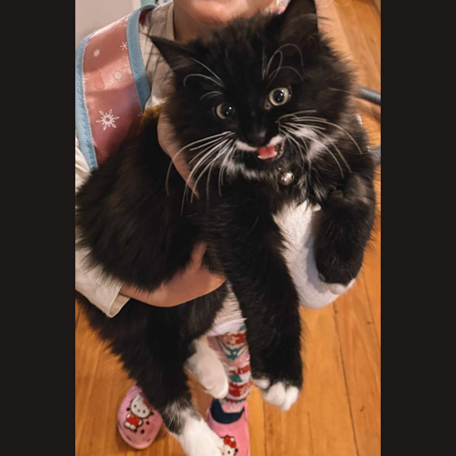 Photo of Charlie 
