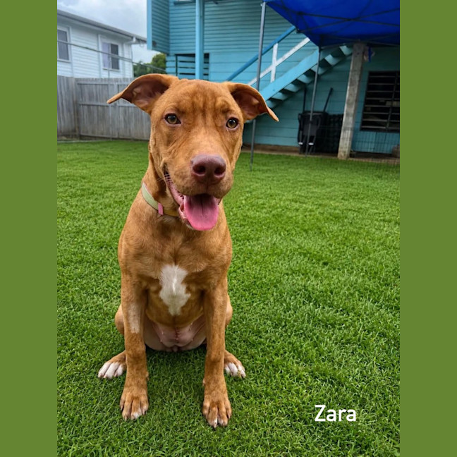 Photo of Zara
