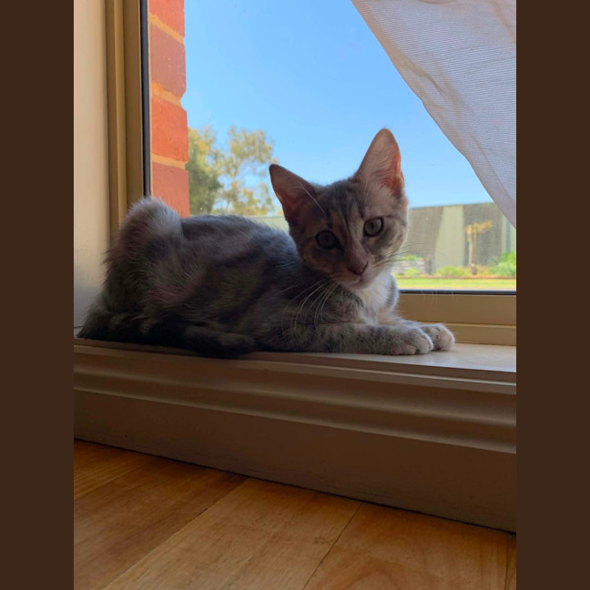 Photo of Ash 