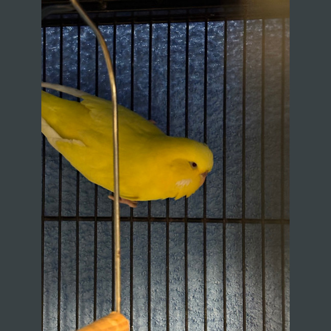 Photo of Kikki 