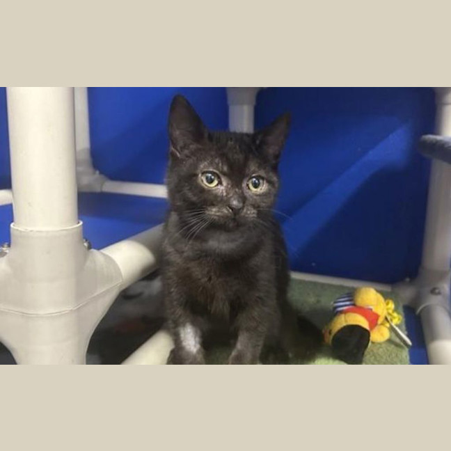 Photo of Steven
