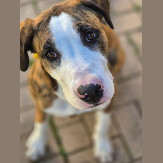 Photo of Bingo
