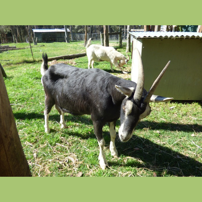 Photo of Lucey & Eva Mother & Daughter