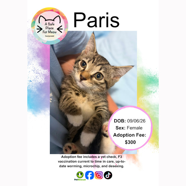 Photo of Paris