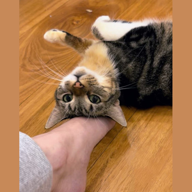 Photo of Rachel & Iggy