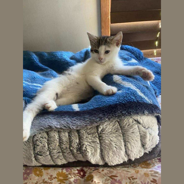 Photo of Marceline 