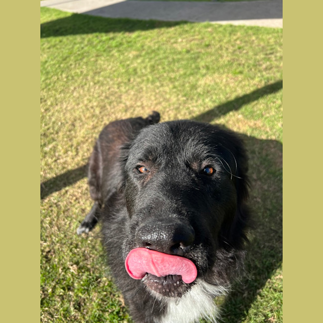 Photo of Lenny