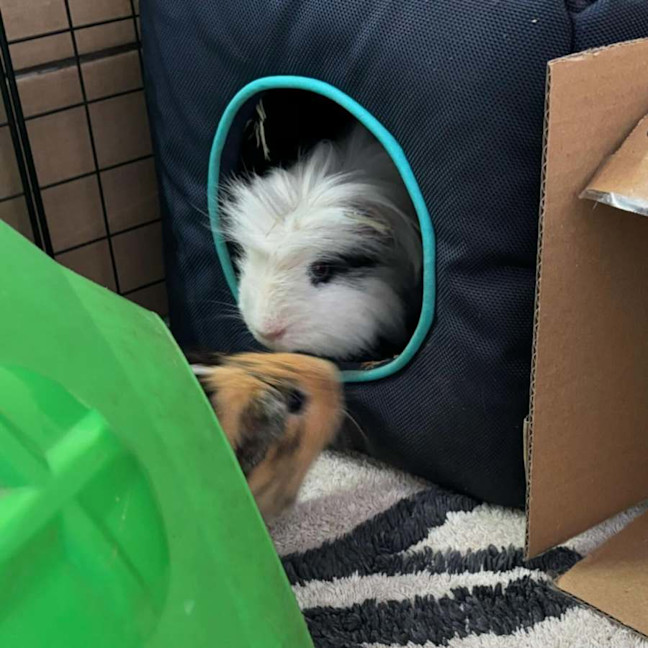 Photo of Peter & Pascal