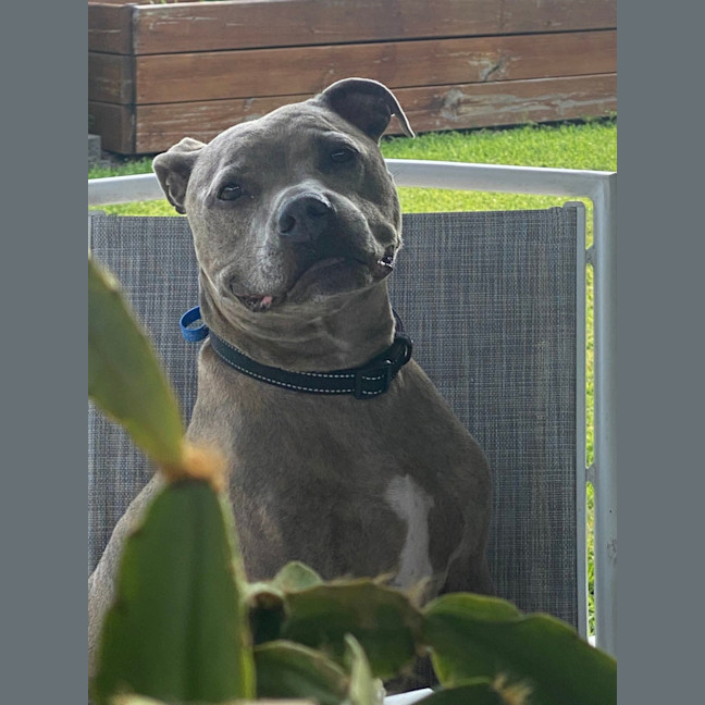Photo of Riley